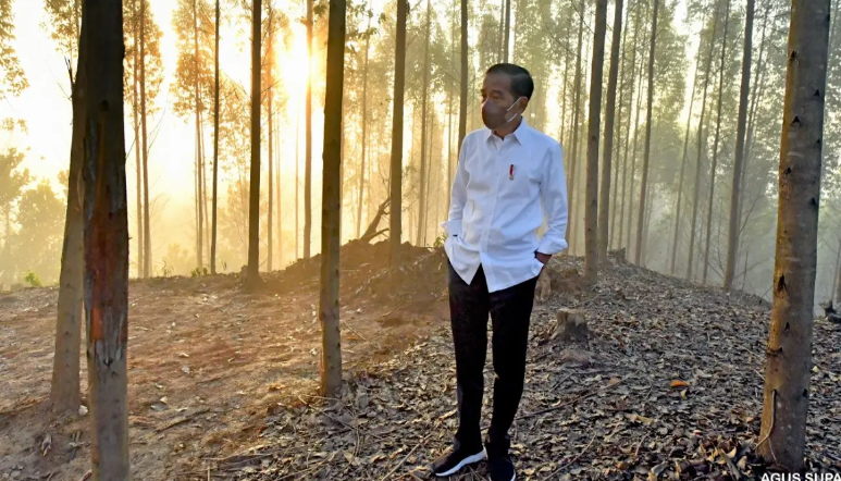 300 Juta Orang di Dunia Alami Kelaparan Akut, Jokowi Minta Semua Lahan Diproduktifkan